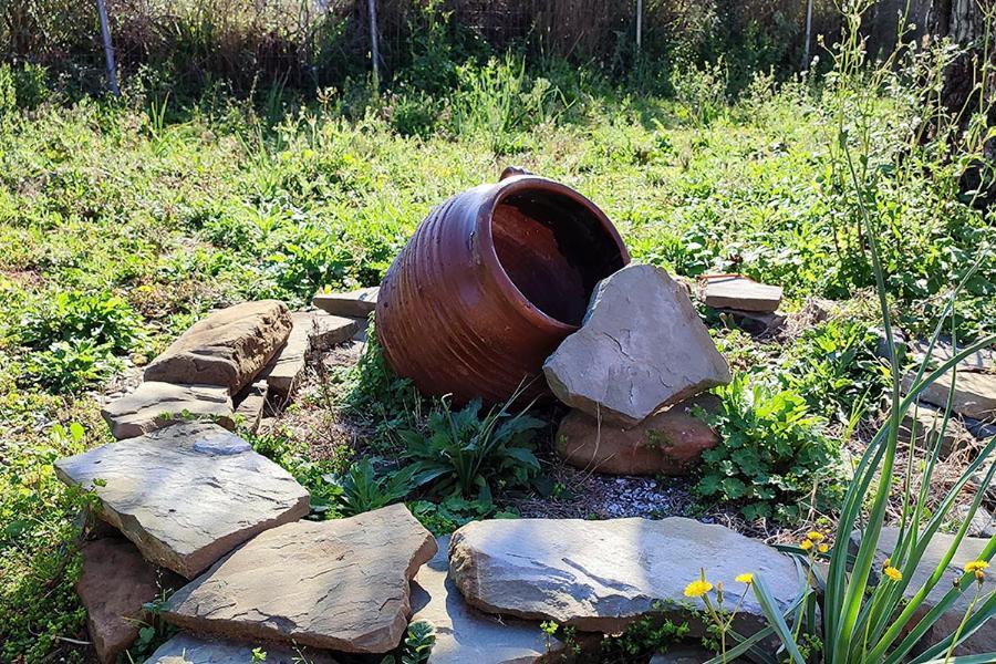 Mesolóngion Socrates Organic Village - Wild Olive מראה חיצוני תמונה