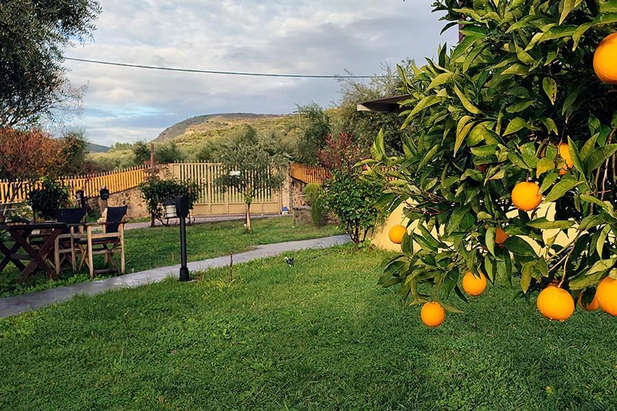 Mesolóngion Socrates Organic Village - Wild Olive מראה חיצוני תמונה